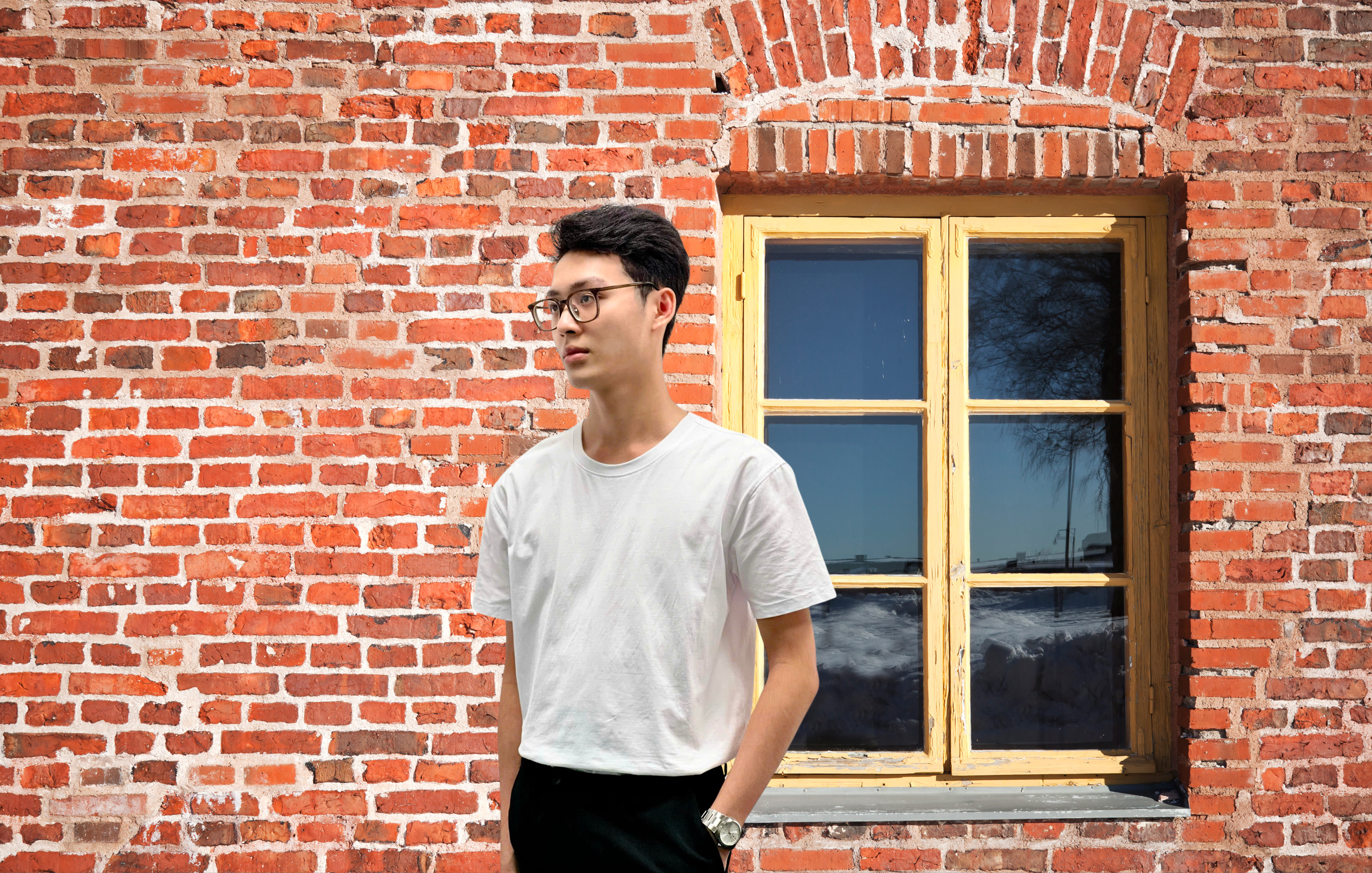 Áo thun Cá Nhân Shalom