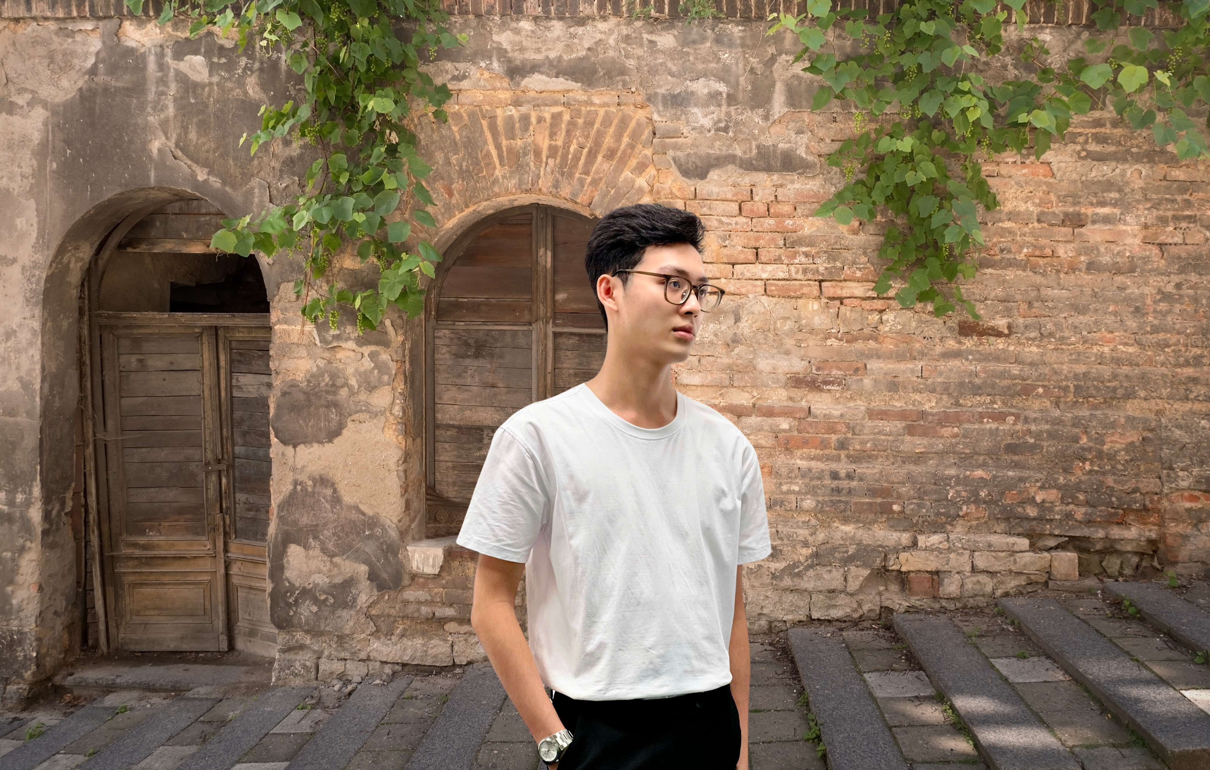 Áo thun Cá Nhân Shalom